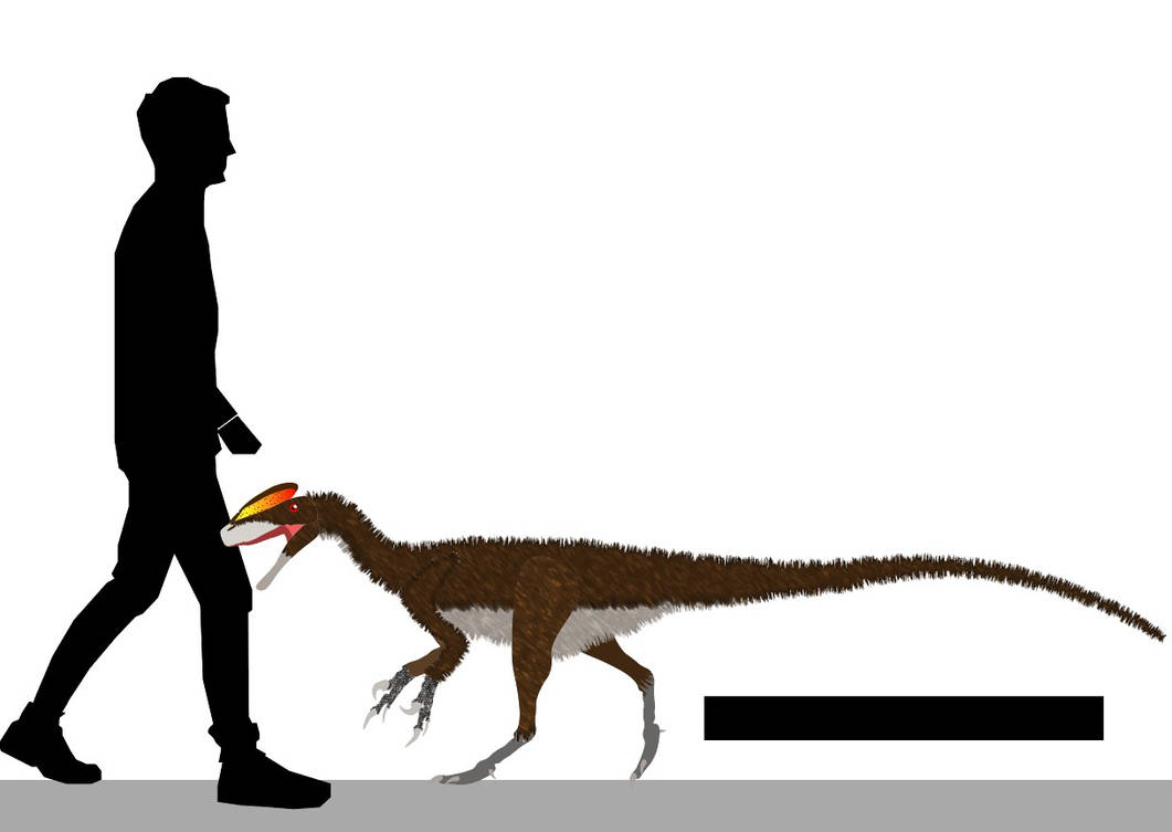 Datanglong Size Guanlong Size Chart by Paleotuga on DeviantArt