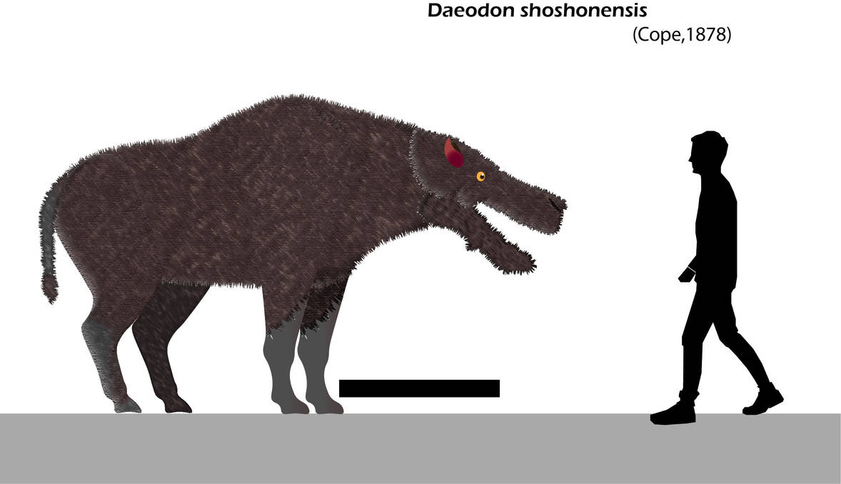 Daeodon shosshonensis Size Chart by Paleotuga on DeviantArt