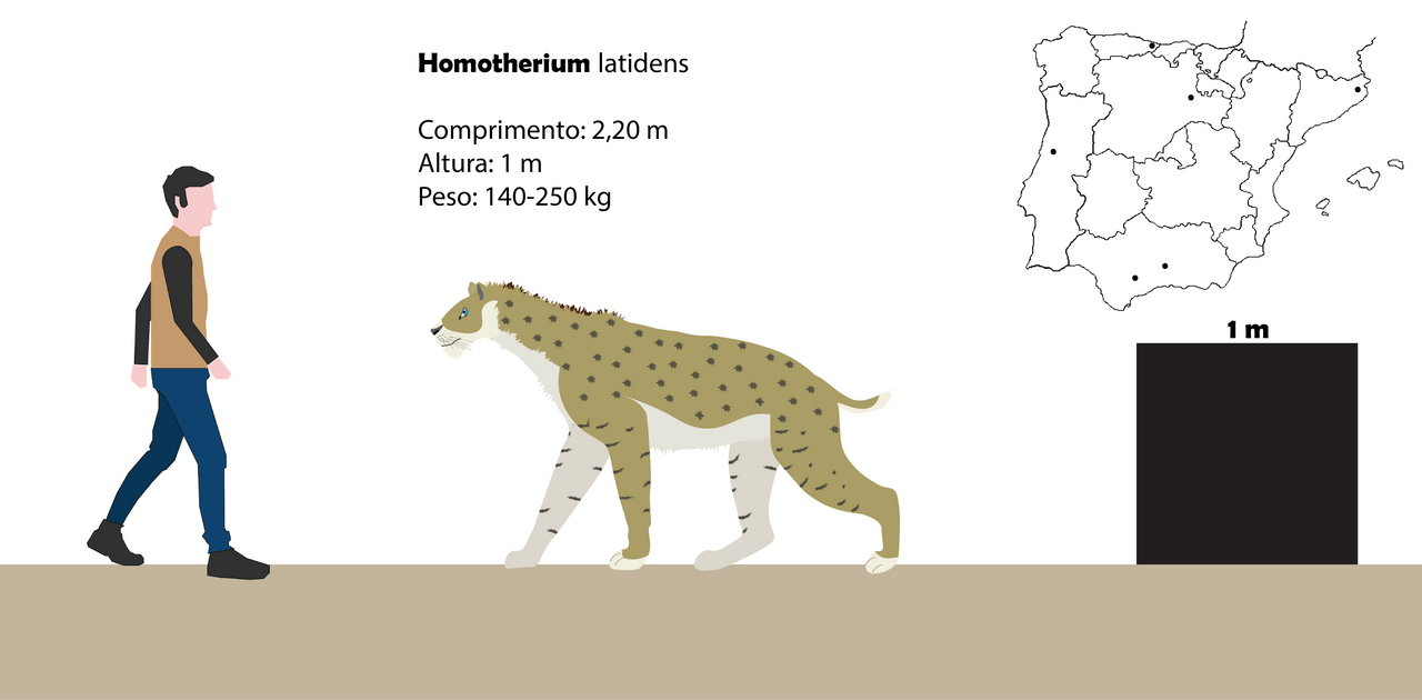 Homotheriini Homotherium by Paleotuga on DeviantArt