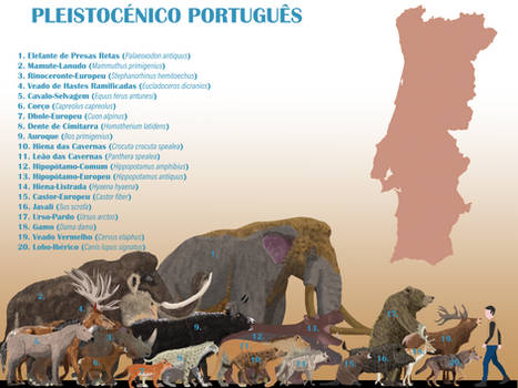 Pleistoceno de Portugal