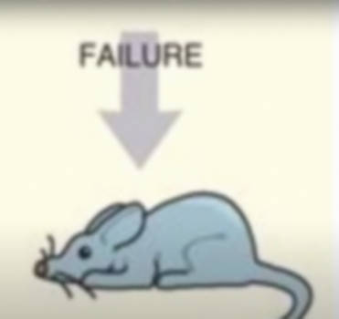 Explore the Best Failure Art | DeviantArt