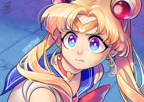 The Sailor Moon redraw thing