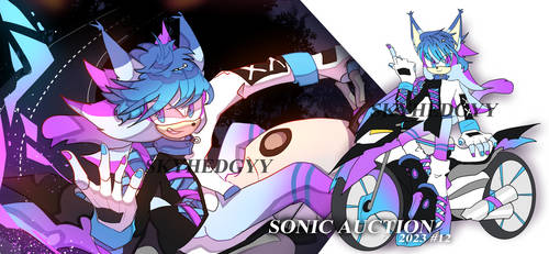 Sonic Adopt Auction #12 [CLOSED] by Skyhedgyy