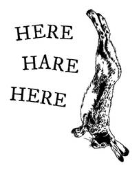 Here Hare Here