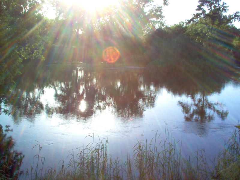 River Bank