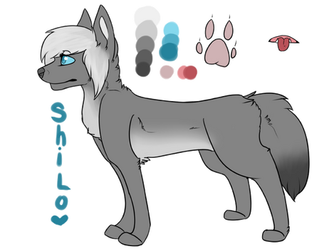 Shilo Ref 2013