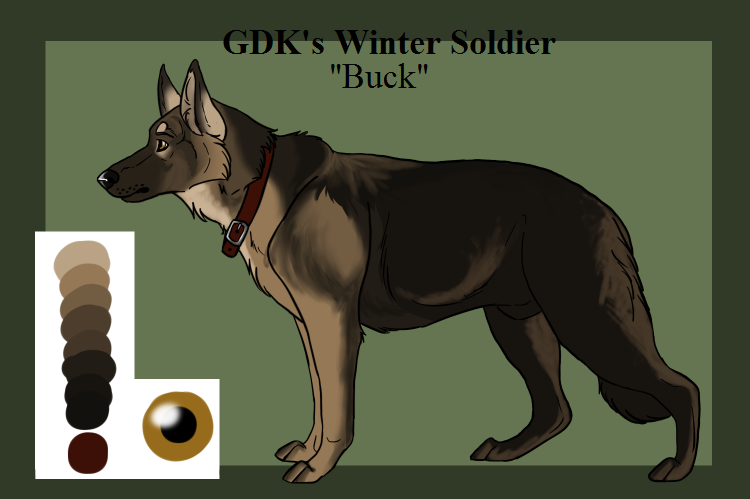 GDK's Winter Soldier - Buck