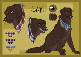 Sam Reference Sheet