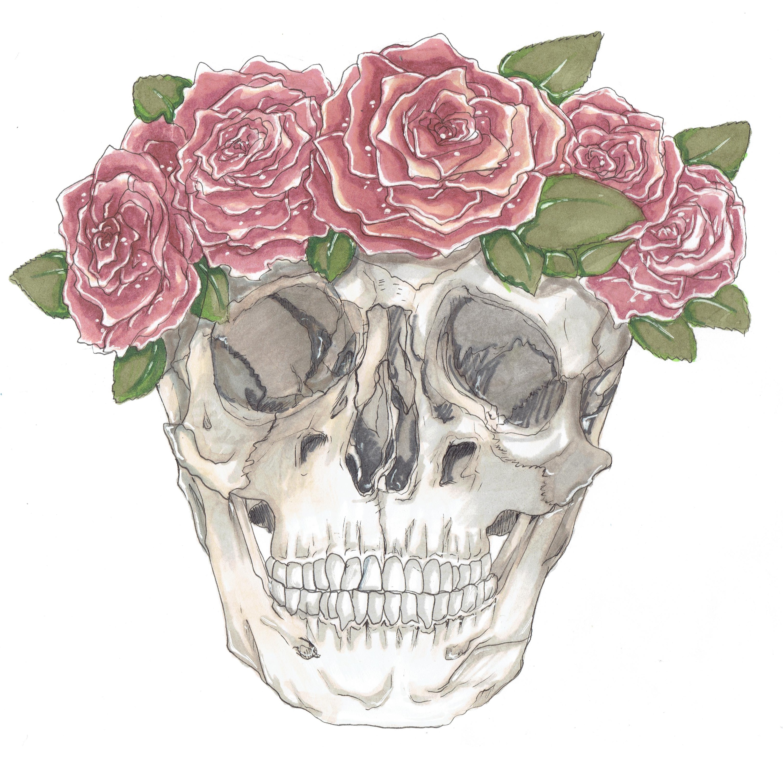 Skull with a crown of roses