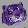 Purple Tiger Proj