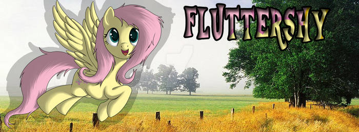 Fluttershy Timelinecover by DustyDasher