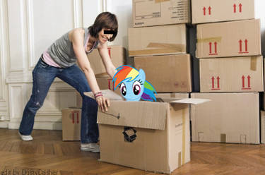 Dashie, you so cute?