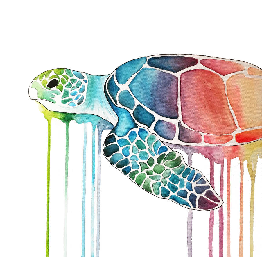 Deviantart Softshell Turtle Turtle - by MelHrvth on DeviantArt