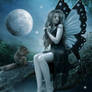 Moonlight Fairy