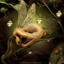 Forest Fae