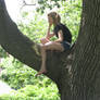 girl in tree 2