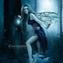 The-Blue-Fairy