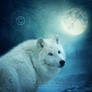 White Wolf