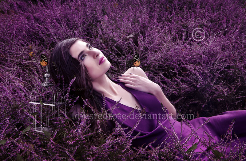 Lavender-Fields by EnchantedWhispersArt