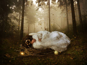 The Nest by EnchantedWhispersArt