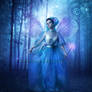 Fairy-Godmother