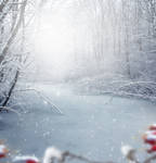 Premade-Winter by EnchantedWhispersArt