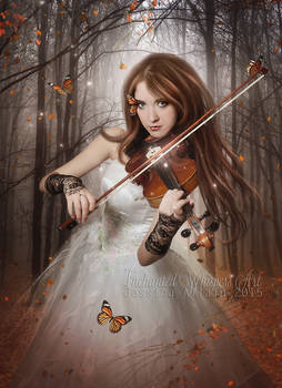 Enchanting-Melody