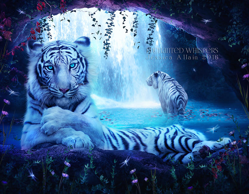 White-Tigers by EnchantedWhispersArt