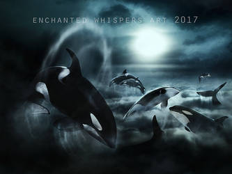 Orcas