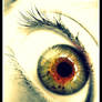 my eye.