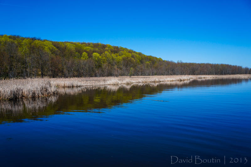 The marsh at Spring