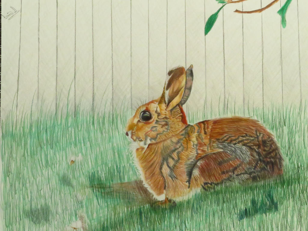 Brown Rabbit Deviantart Bunny by OscartheNightwing on DeviantArt