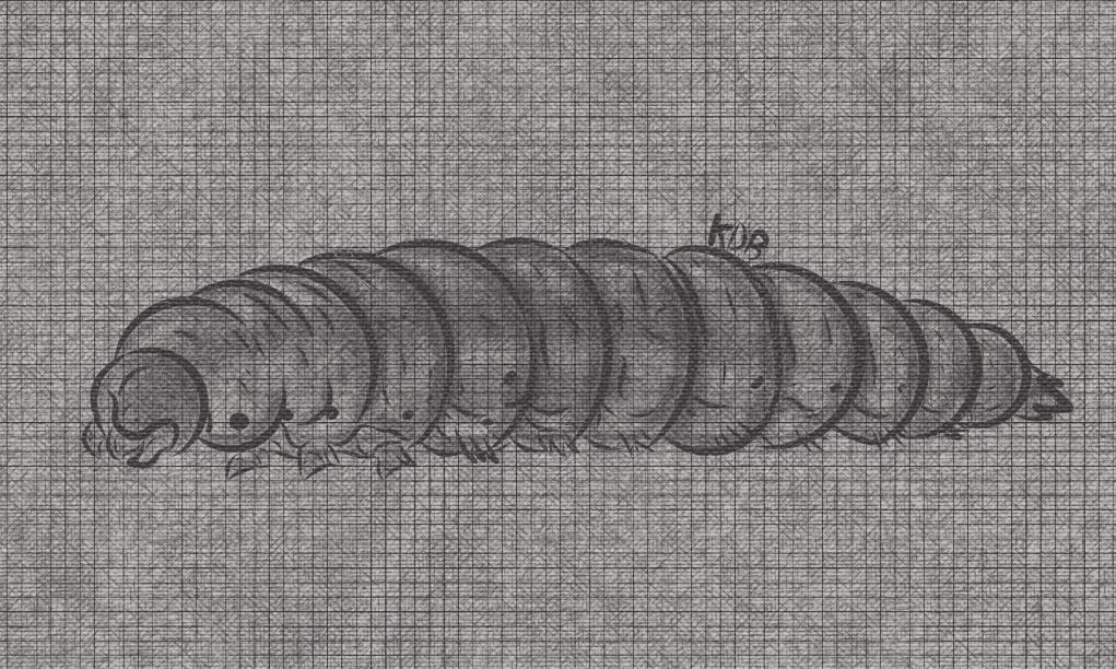 Maggot Colouring In Maggot by kitspidrawsbugs on DeviantArt