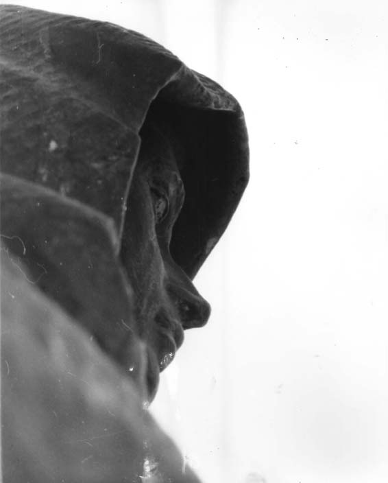 Statue
