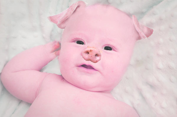 Pig Baby