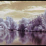 Pittville Park in Infrared