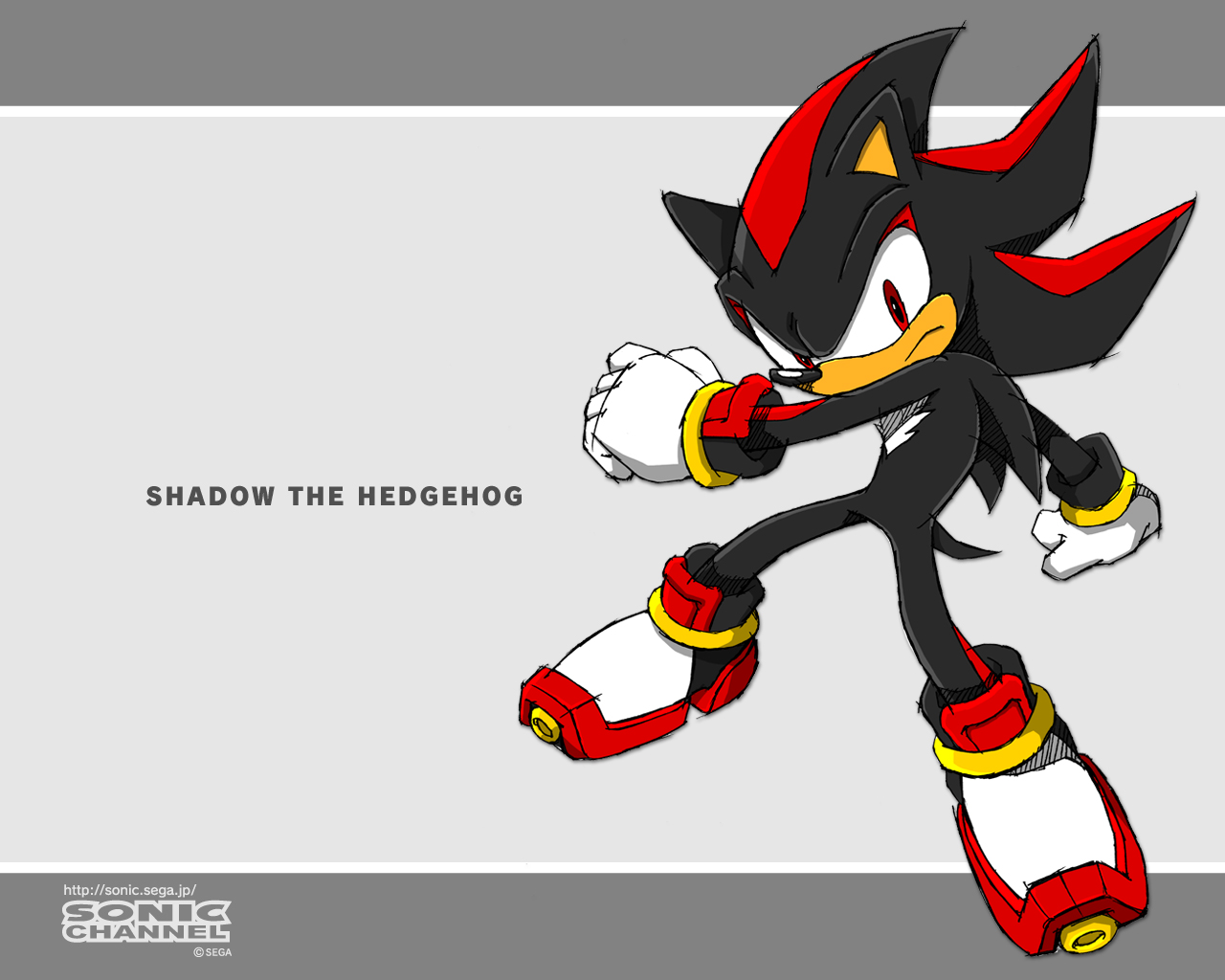 Shadow the Hedgehog in Sonic the Hedgehog (2011)