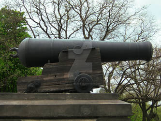 Cannon Stock