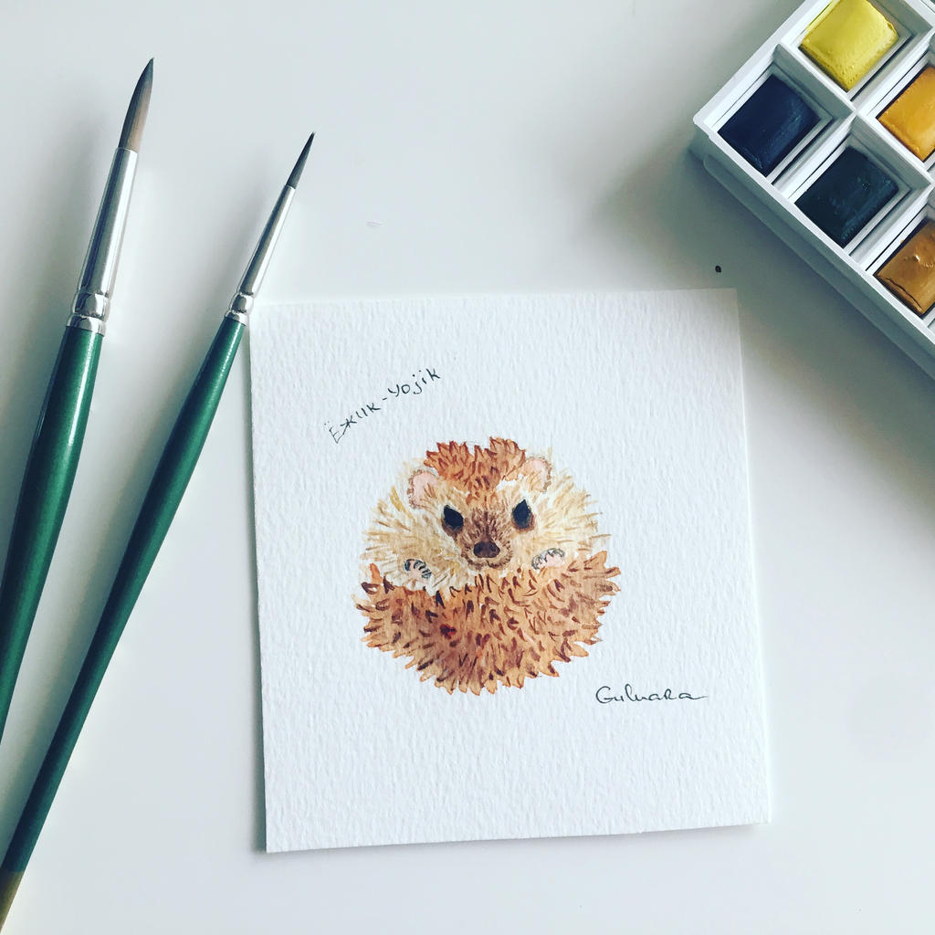 hedgehog