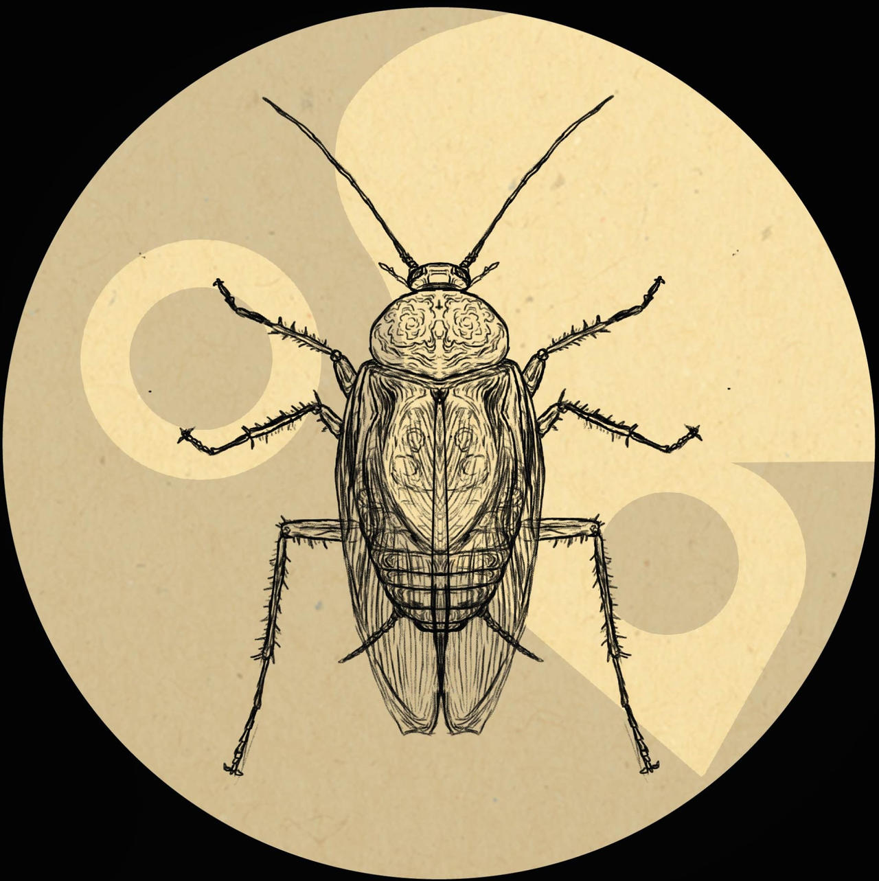 COCKROACH by risavictoria2020 on DeviantArt