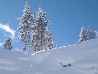 Snow in Truckee