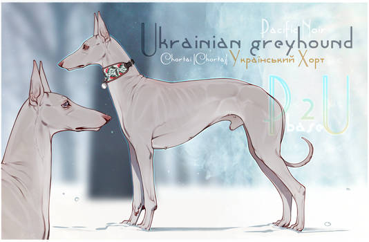 Ukrainian greyhound base 48 [PayPal POINTS] open