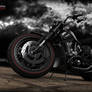 Harley-Davidson Night Rod Special