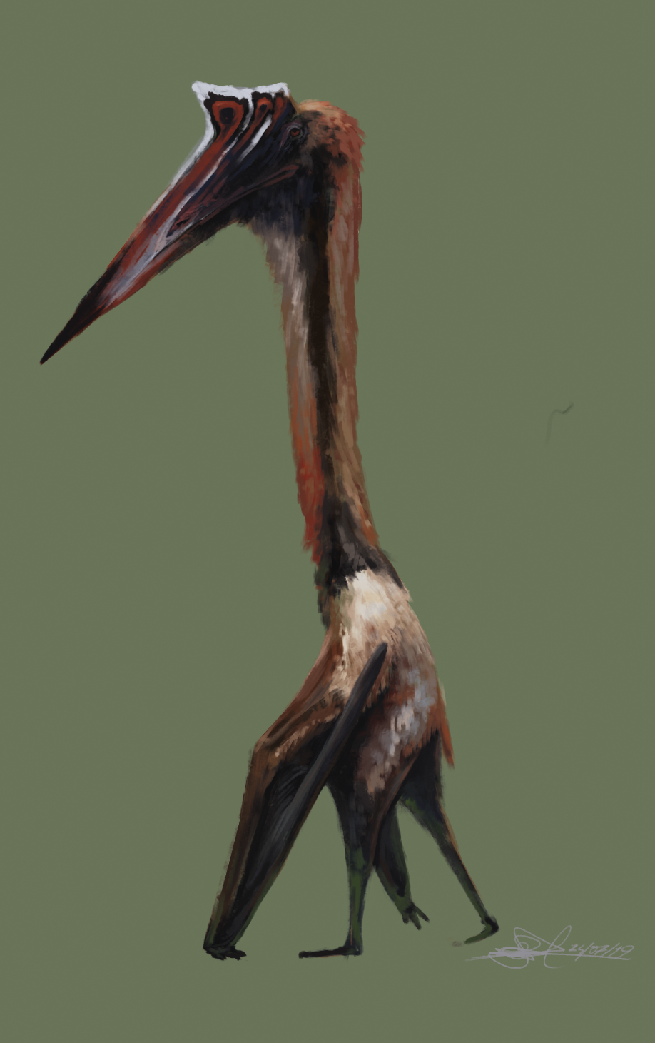 Quetzalcoatlus northropi sketch by TheWoodParable on DeviantArt