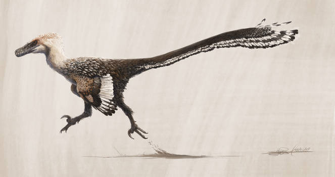 Velociraptor mongoliensis