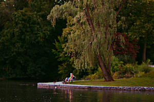 A Day at the park