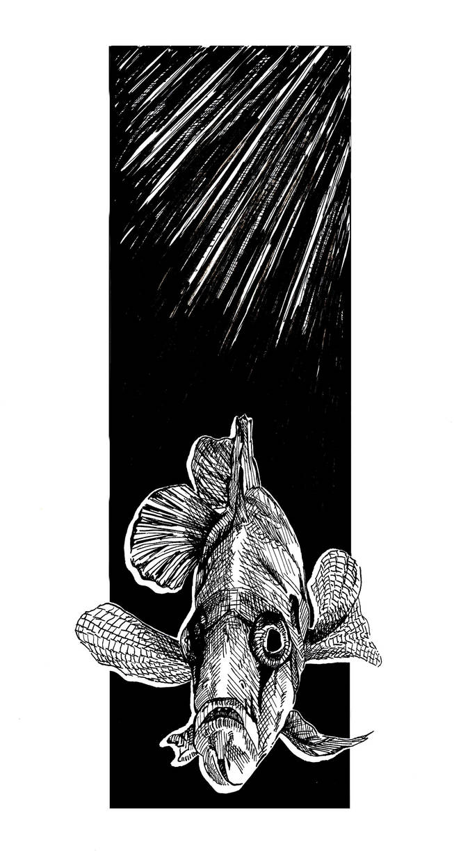 Pen and ink fish by KylieBurrr on DeviantArt