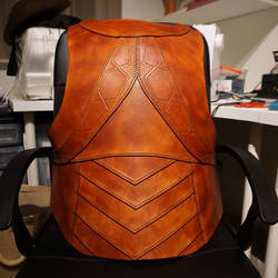 Leather armour back