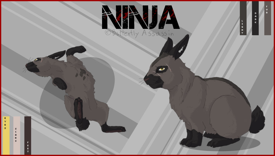 Ninja Ref