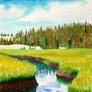 Meadow at Cathedral Lake